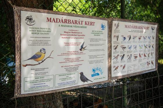 információs tábla