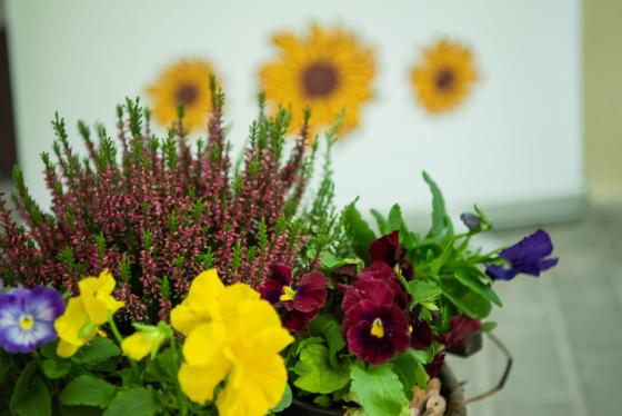 Virágok a felújított épület előtt