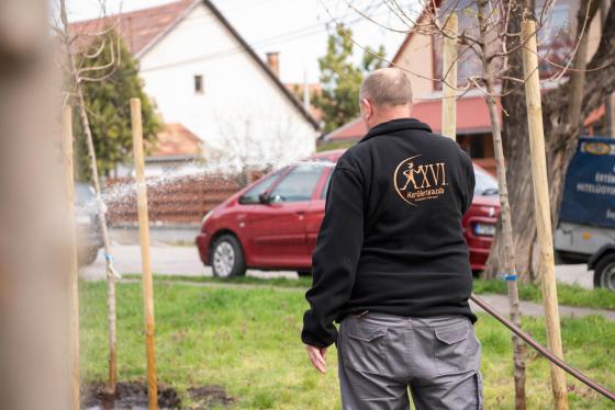 Új fákkal bővült a babaliget.