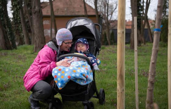 Új fákkal bővült a babaliget.