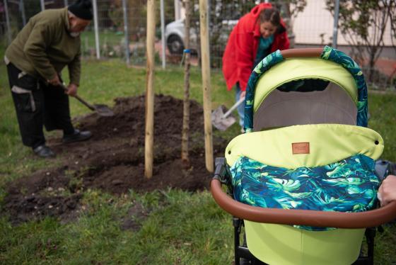 Új fákkal bővült a babaliget.