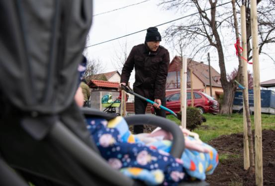 Új fákkal bővült a babaliget.