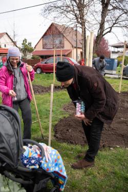 Új fákkal bővült a babaliget.