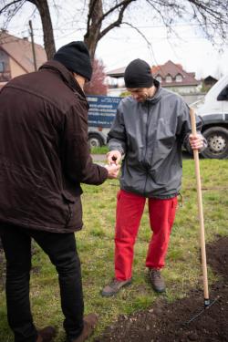Új fákkal bővült a babaliget.