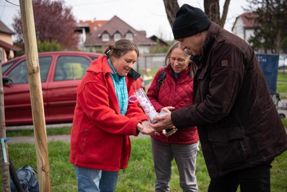 Új fákkal bővült a babaliget.