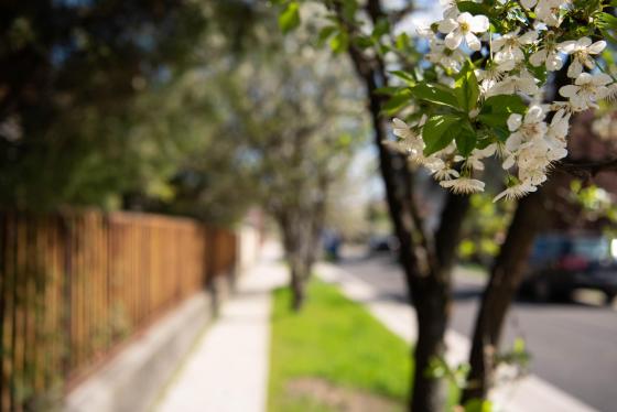 Megújult a Farkasszőlő utca.