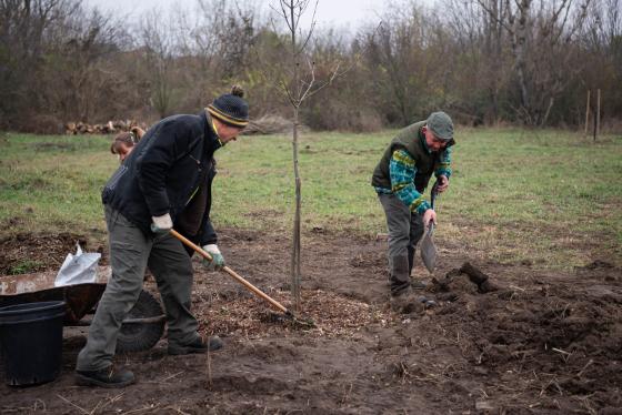 Fát ültetnek az önkéntesek.