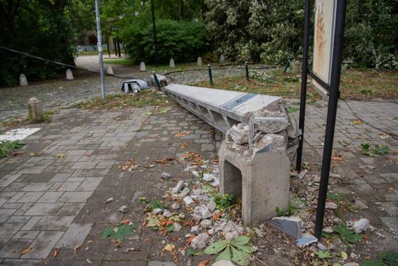 kidőlt fák a kerületben