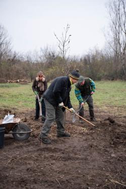 Fát ültetnek az önkéntesek.