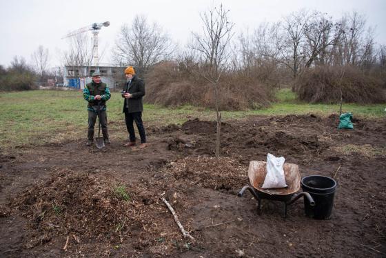 Fát ültetnek az önkéntesek.