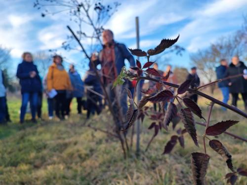 metszés oktatás hangulat kép