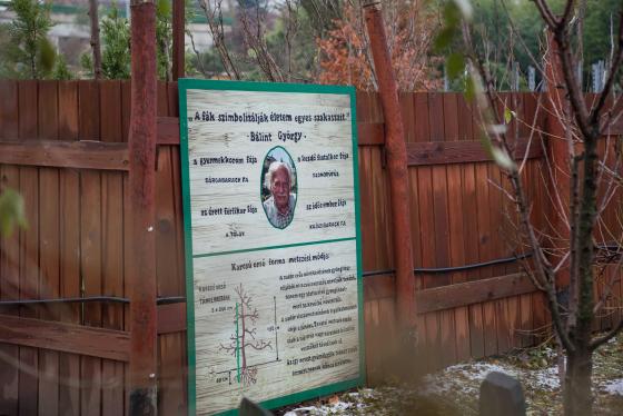 Újraindult a metszéstanfolyam a tanyaudvaron