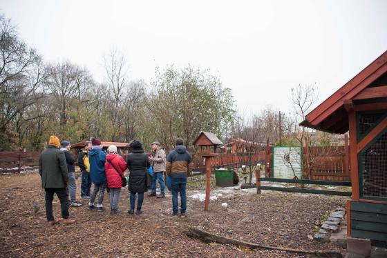 Újraindult a metszéstanfolyam a tanyaudvaron