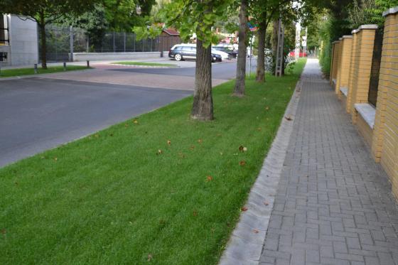 A felújított Táncsics utca