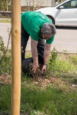 Önkéntesek segítették a fatelepítést az arborétumnál.