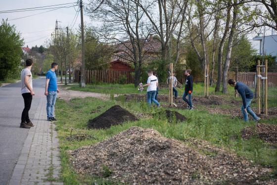Önkéntesek segítették a fatelepítést az arborétumnál.