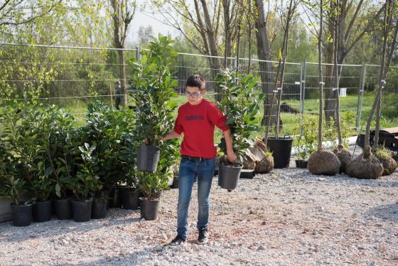 Önkéntesek segítették a fatelepítést az arborétumnál.