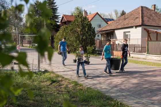 Önkéntesek segítették a fatelepítést az arborétumnál.