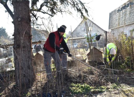 A Kerület Gazda munkatársai kéziszerszámokkal végzik a tereprendezést.