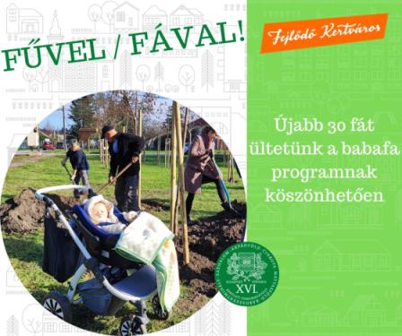 Újabb harminc fát ültetünk a babafa programnak köszönhetően.