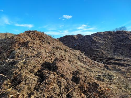 Halmokba gyűjtött falevelek és nyesedékek a Bökényföldi útról megközelíthető közösségi komposztálónál.