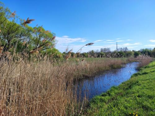 Elindult a kerület &quot;Föld hete&quot; rendezvénysorozata.