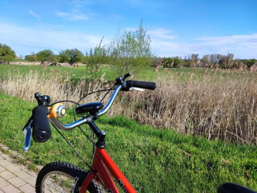 Elindult a kerület &quot;Föld hete&quot; rendezvénysorozata.