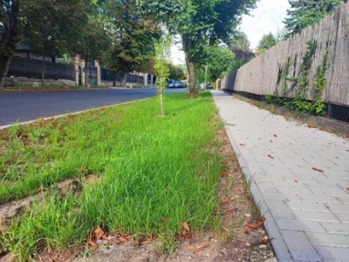 A felújított Táncsics utca