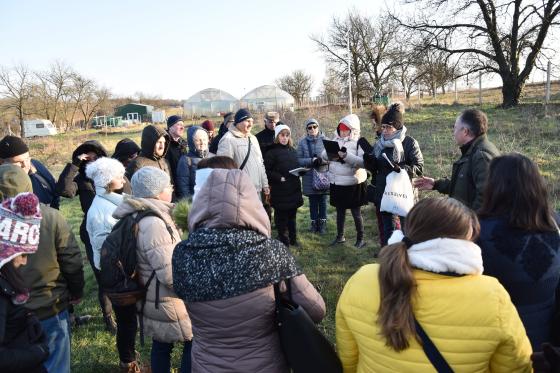 Ádám Attila István főkertész magyarázza a metszés alapjait a megjelenteknek.