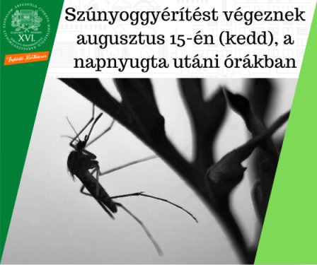 Szúnyoggyérítést végeznek augusztus 15-én