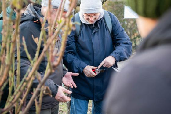 A metszőolló bemutatása
