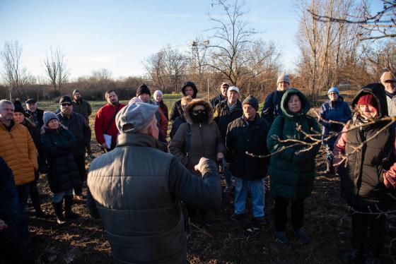 a metszés alapjainak magyarázata