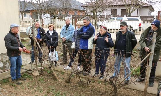 A metszési folyamatot figyelik a jelenlévők