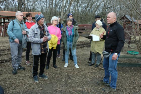 Ádám Attila István főkertész oktatást tart a gyümölcsfák metszéséről emberek gyűrűjében.