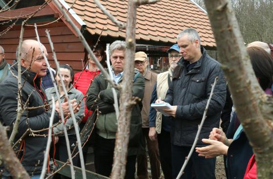 Ádám Attila István főkertész oktatást tart a gyümölcsfák metszéséről emberek gyűrűjében.