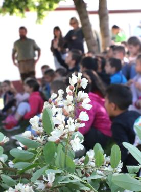 Virág az előtérben, mögötte a hallgatóság.