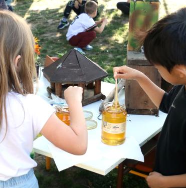 Iskolások mézet kóstolnak.