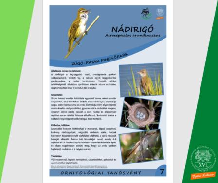 madártani tanösvény