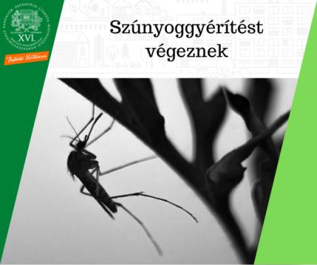 Szúnyoggyérítést végeznek