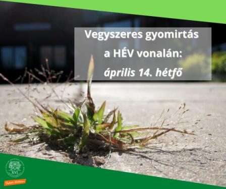 Vegyszeres gyomirtást végeznek a H8/H9-es HÉV vonalai mentén