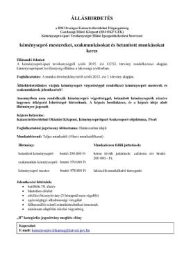 Felhívás! Biztos jövőt szeretnél? Válaszd a kéményseprő hivatást!