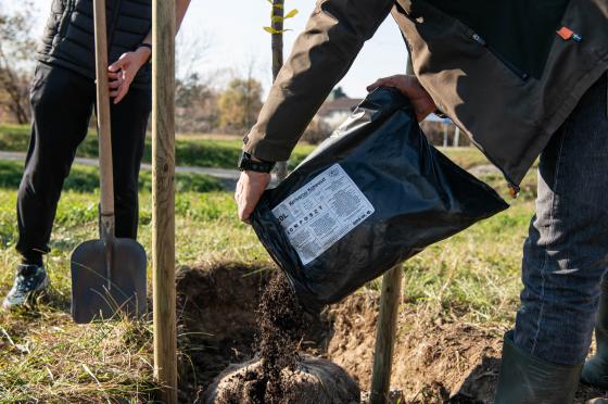 Kertvárosi komposzt kerül a fák alá
