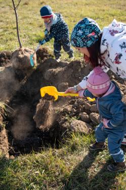 Családok faültetés közben