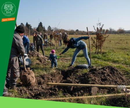 A faültetés pillanatai