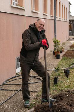 Szász József alpolgármester ültetés közben