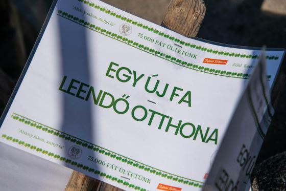 A képen látható tábla felirata: egy új fa leendő otthona
