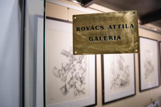 A kiállítás