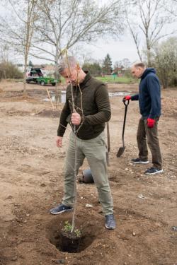 Szatmáry Kristóf képviselő és Szász József alpolgármester ültetés közben