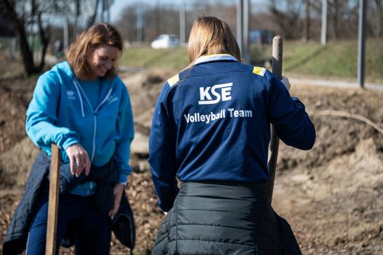 A KSE röplabdázói ültetés közben
