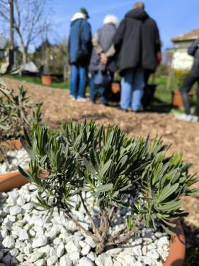Ádám Attila István főkertész kertészeti workshopot tart a Karát utcai Közösségi Növénynevelőben